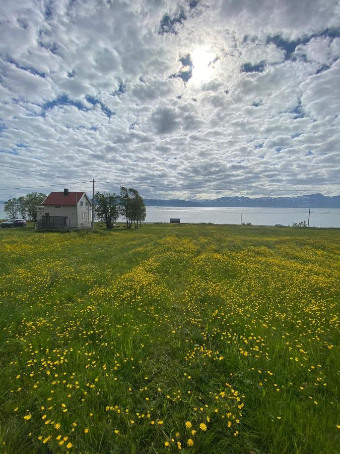 Unique And Charming Holiday Home With Fantastic Sea Views Тромсё Экстерьер фото
