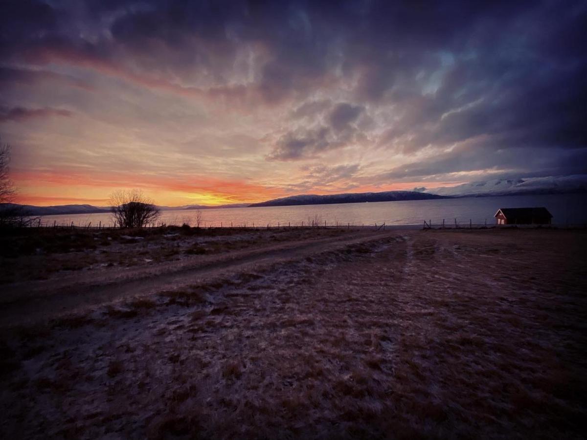 Unique And Charming Holiday Home With Fantastic Sea Views Тромсё Экстерьер фото