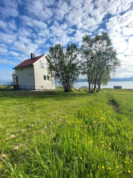 Unique And Charming Holiday Home With Fantastic Sea Views Тромсё Экстерьер фото