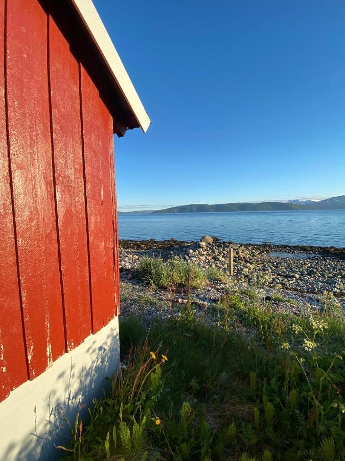 Unique And Charming Holiday Home With Fantastic Sea Views Тромсё Экстерьер фото