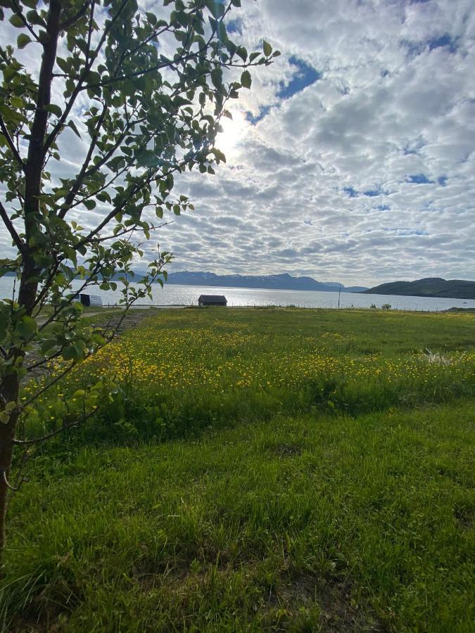 Unique And Charming Holiday Home With Fantastic Sea Views Тромсё Экстерьер фото