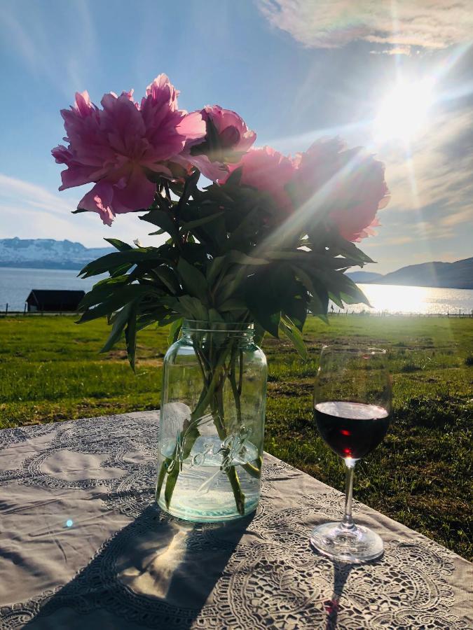 Unique And Charming Holiday Home With Fantastic Sea Views Тромсё Экстерьер фото